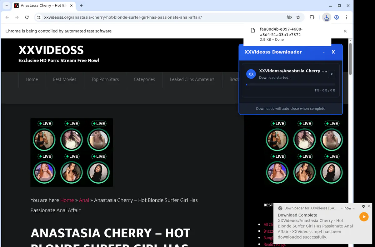 Xxvideoss Video Downloader browser extension screenshot 2