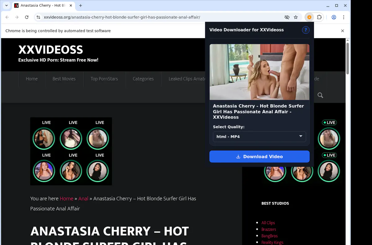 Xxvideoss Video Downloader browser extension screenshot 3