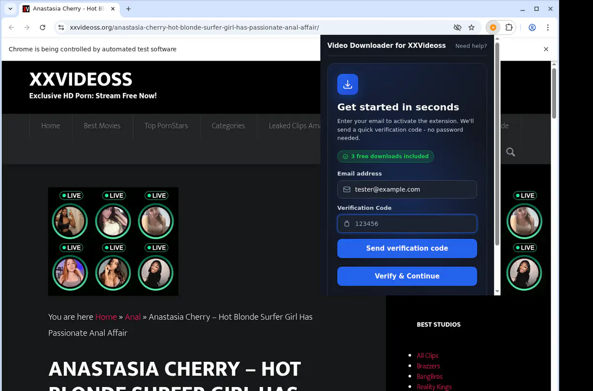 Xxvideoss Video Downloader browser extension screenshot 4