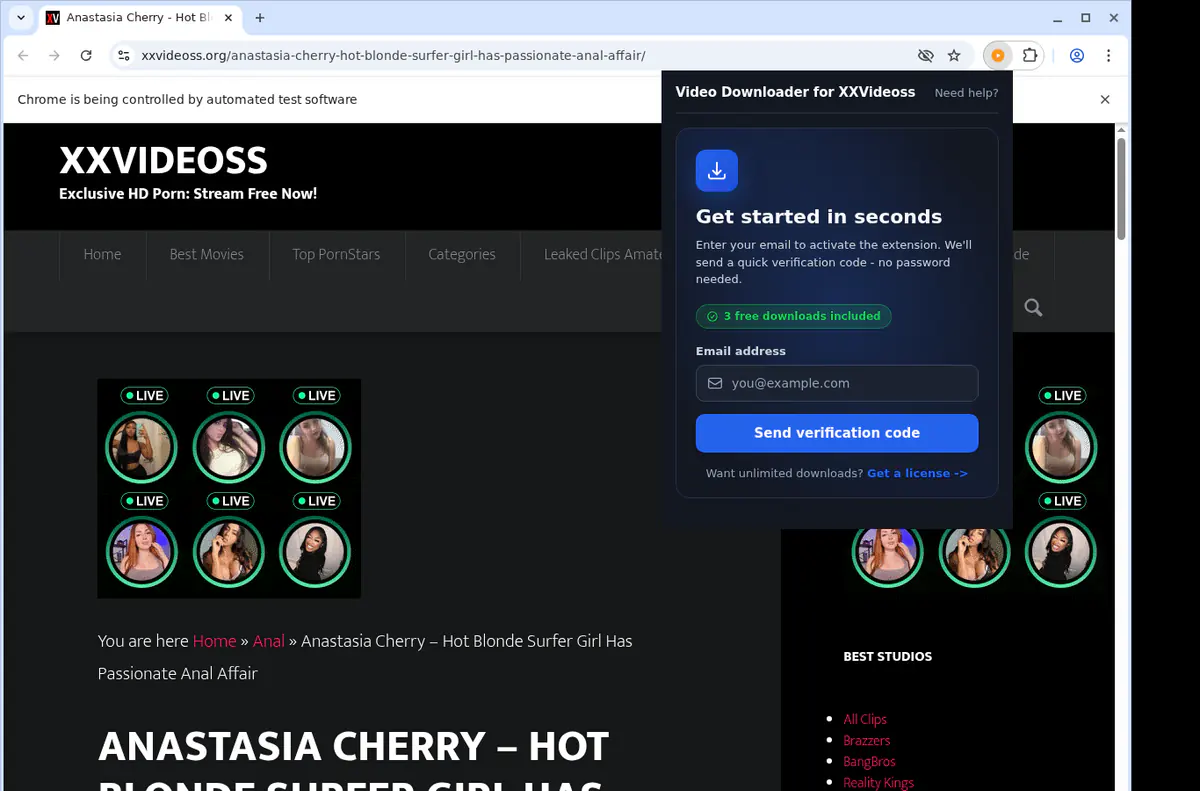 Xxvideoss Video Downloader browser extension screenshot 5